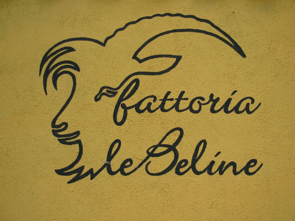 Fattoria le Beline