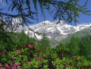 rifugio pastore alagna alpe pile