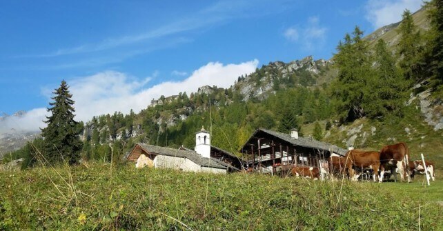 Otro Valley: harmony of colours and emotions