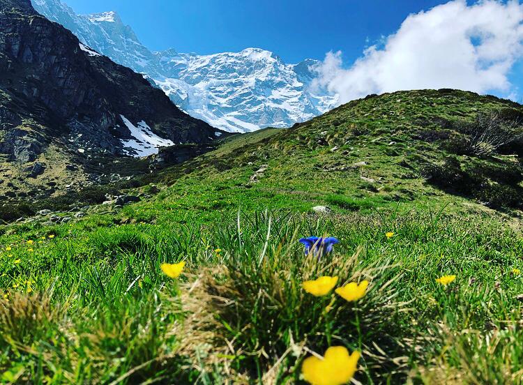 sentiero glaciologico nel parco naturale alta valsesia, alpe Bors