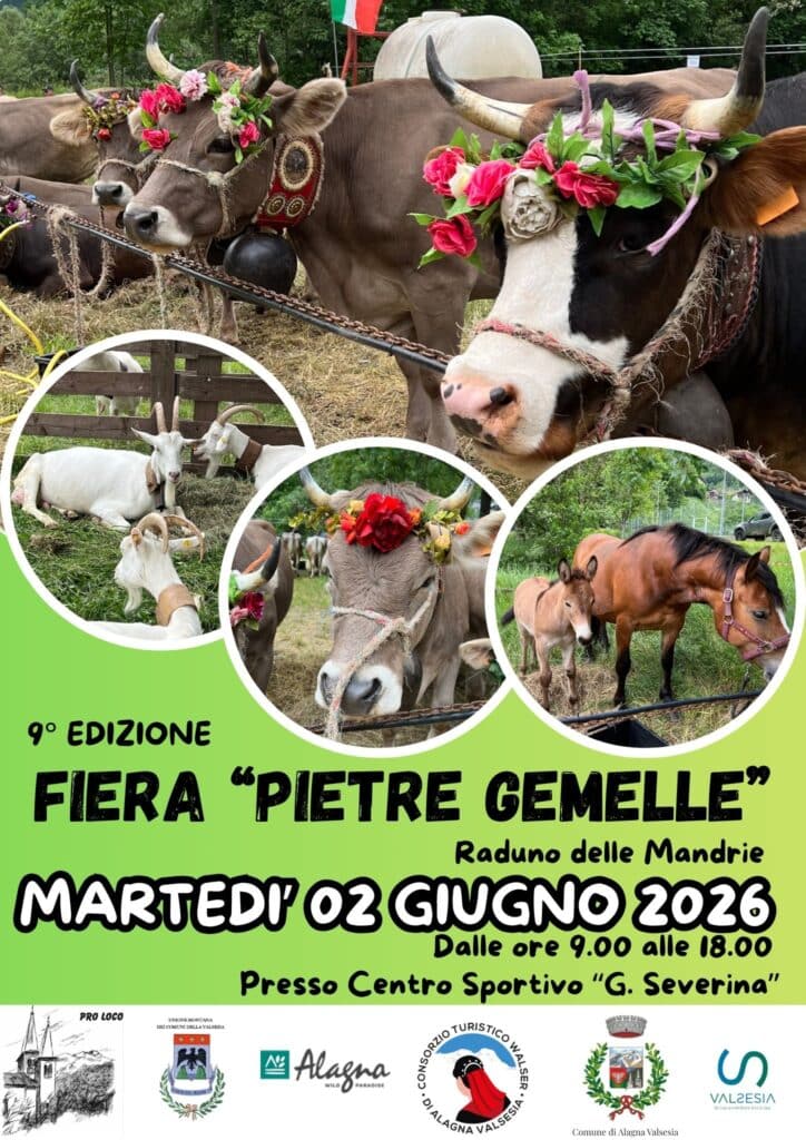 Fiera del bestiame - Livestock fair