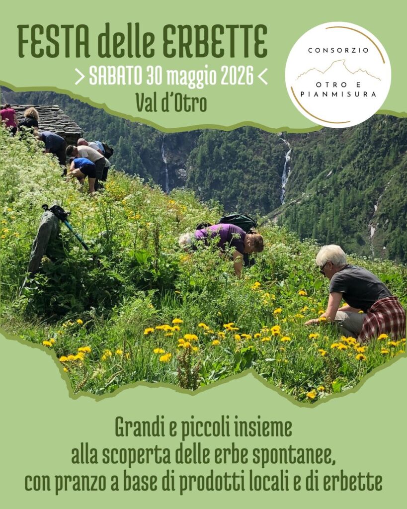 Festa delle erbette - Herb festival